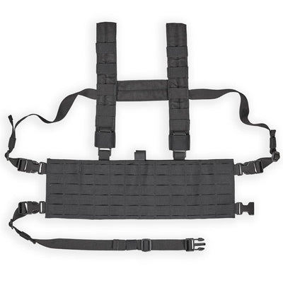 CT MCR1 in BLK